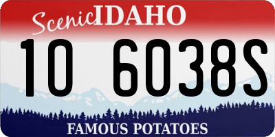 ID license plate 1O6038S