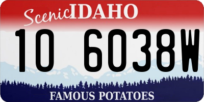 ID license plate 1O6038W