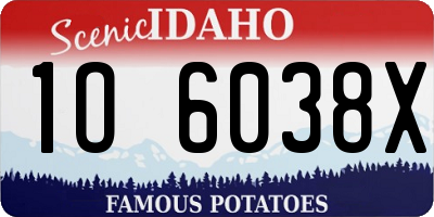 ID license plate 1O6038X