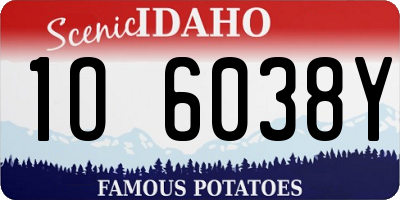 ID license plate 1O6038Y