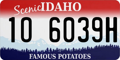 ID license plate 1O6039H