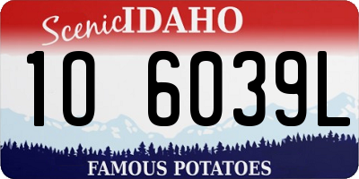 ID license plate 1O6039L