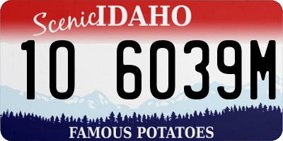 ID license plate 1O6039M