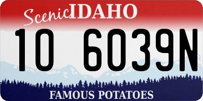 ID license plate 1O6039N