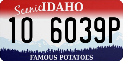 ID license plate 1O6039P