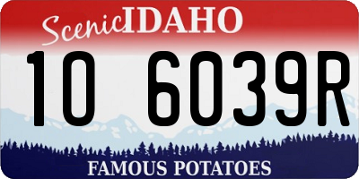 ID license plate 1O6039R