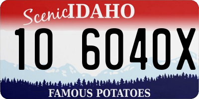 ID license plate 1O6040X