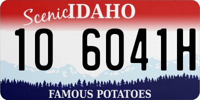 ID license plate 1O6041H