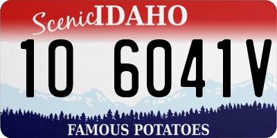 ID license plate 1O6041V