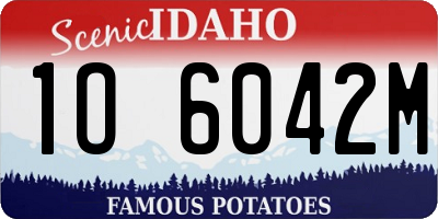 ID license plate 1O6042M