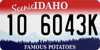 ID license plate 1O6043K