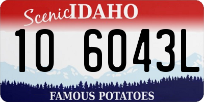 ID license plate 1O6043L