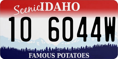 ID license plate 1O6044W