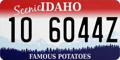 ID license plate 1O6044Z