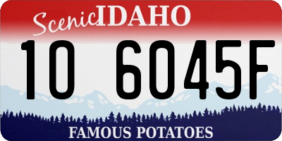 ID license plate 1O6045F