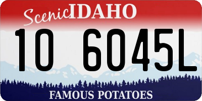 ID license plate 1O6045L