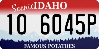 ID license plate 1O6045P