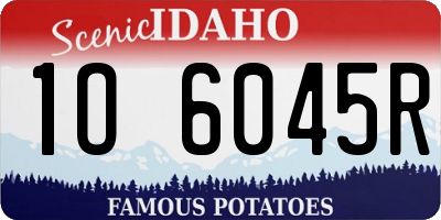 ID license plate 1O6045R