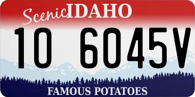 ID license plate 1O6045V