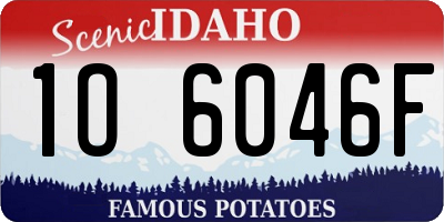 ID license plate 1O6046F