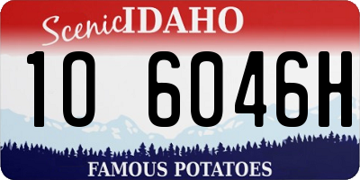 ID license plate 1O6046H