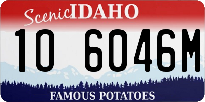 ID license plate 1O6046M
