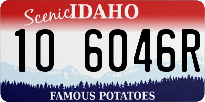 ID license plate 1O6046R