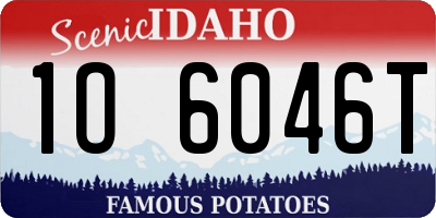 ID license plate 1O6046T