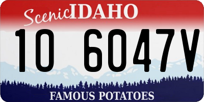 ID license plate 1O6047V
