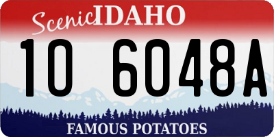 ID license plate 1O6048A