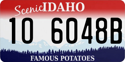 ID license plate 1O6048B