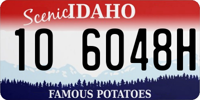 ID license plate 1O6048H