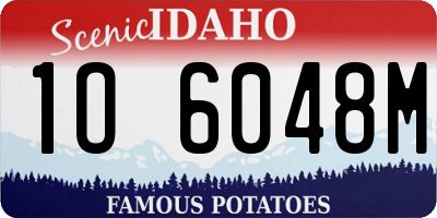 ID license plate 1O6048M