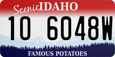 ID license plate 1O6048W