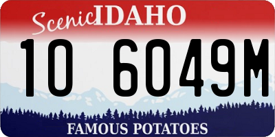 ID license plate 1O6049M