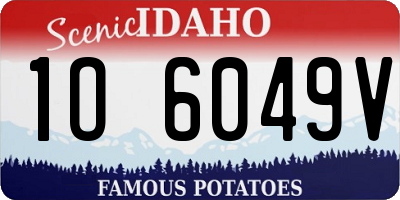 ID license plate 1O6049V