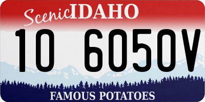 ID license plate 1O6050V