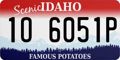 ID license plate 1O6051P