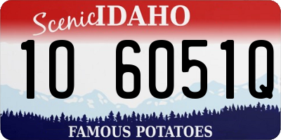 ID license plate 1O6051Q
