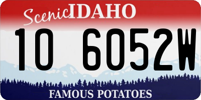 ID license plate 1O6052W