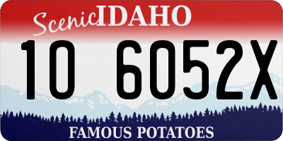 ID license plate 1O6052X