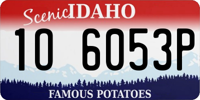 ID license plate 1O6053P