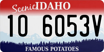 ID license plate 1O6053V