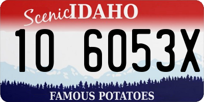 ID license plate 1O6053X