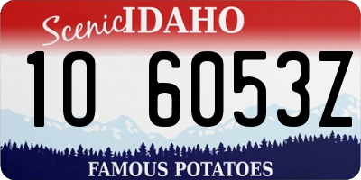 ID license plate 1O6053Z