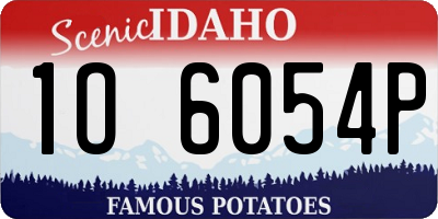 ID license plate 1O6054P