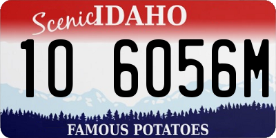 ID license plate 1O6056M