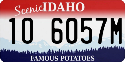 ID license plate 1O6057M