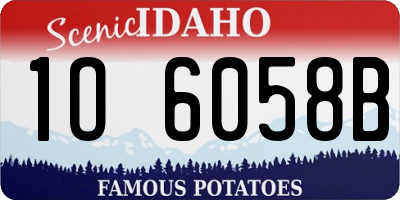 ID license plate 1O6058B