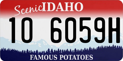 ID license plate 1O6059H